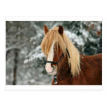 Little Red in the Snow Post Cards