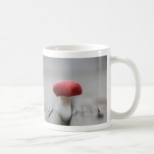 Little red Mushroom Coffee Mugs