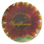 Little Red Sunflower Plates