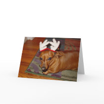 Little Reindeer  cards