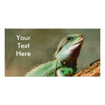 Little Reptile Photo Greeting Card