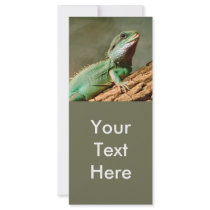 Little Reptile rack cards by ZooCandy Little Reptile rack cards