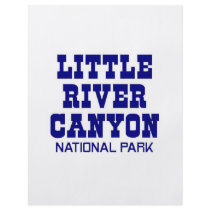Little River Canyon National Park Custom Flyer