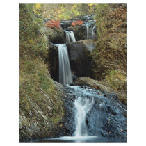 Little River Falls, Saint John, New Brunswick, Can Flyer Design