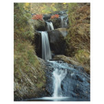 Little River Falls, Saint John, New Brunswick, Can Flyer Design