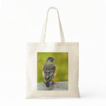 Little Robin Bag