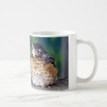 Little Robin Red Breast Mug