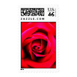 Little Rosie postage
