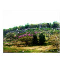 Little Round Top posters by epochexposure Little Round Top posters