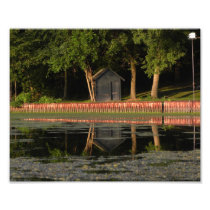 Little Shed Reflecting on Channel Lake Photo
