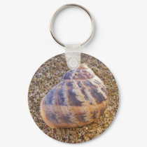 Little Shell keychains by deegolden Little Shell keychains