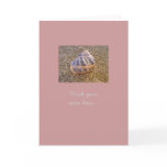Little Shell, Wish you were here... cards