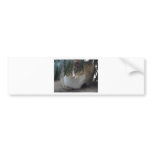 Little Sister bumper stickers