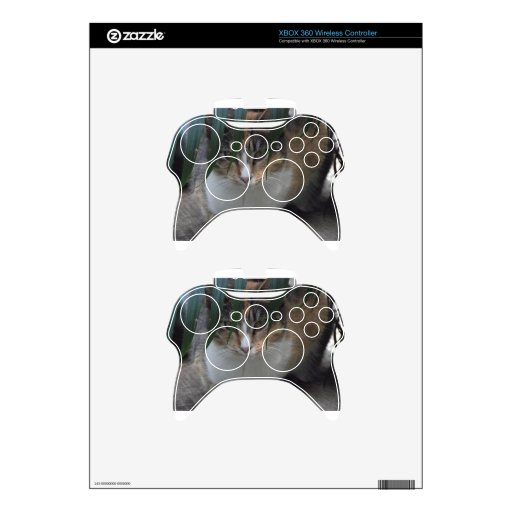 Little Sister Xbox 360 Controller Skins