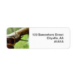 Little Snail Labels