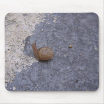 Little Snail mousepads by lolo4music Little Snail mousepads