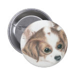 little spaniel dog button/badge