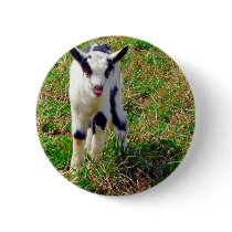 Little Spot buttons by angelandspot Little Spot buttons