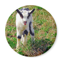 Little Spot Fridge Magnet