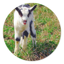 Little Spot stickers by angelandspot Little Spot stickers