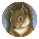 Little squirrel round stickers