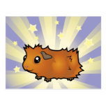 Little Star Guinea Pig (scruffy) Post Cards