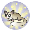 Little Star Sugar Glider sticker