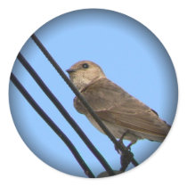 Little Swallow stickers by codfishlady Little Swallow stickers