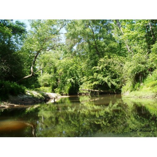 Little Tchefuncte River print