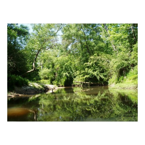 Little Tchefuncte River print