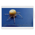 Little Things Card - Orange Orb Weaver Spider by threesalamanders Little Things Card - Orange Orb Weaver Spider