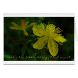 Little Things Card - Saint Johnswort