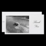 Little Trawler - Thank You photo cards