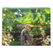 Little Views of Upstate NY 2008 Calendar