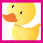 Little Walking Duck Posters