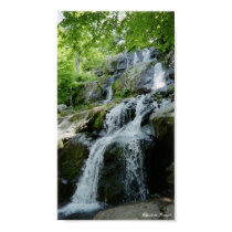 little wateralls posters