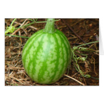 Little Watermelon cards by princessklb07 Little Watermelon cards