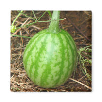 Little Watermelon magnets