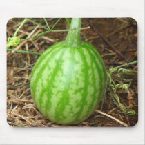 Little Watermelon mousepads