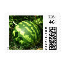 Little Watermelon postage by princessklb07 Little Watermelon postage