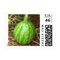 Little Watermelon postage by princessklb07 Little Watermelon postage