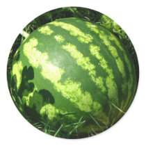 Little Watermelon stickers by princessklb07 Little Watermelon stickers
