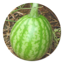 Little Watermelon stickers by princessklb07 Little Watermelon stickers