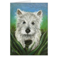 Little Westie playing in the grass card