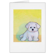 Little white dog art drawing cute Maltese puppy card