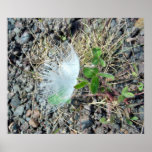 Little White Feather 1 Poster