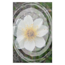 Little White Flower; No Text Personalized Stationery