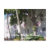 little white house, key west, florida, vacation,