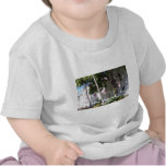Little White House, Key West Shirt