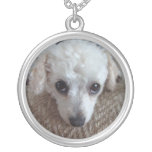 Little White Teacup Poodle Dog Jewelry
